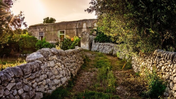 Interessante Varianten den Garten zu gestalten